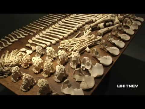 惠特尼焦點為您呈現珍妮-霍爾澤：《保護保護》。 (Whitney Focus presents Jenny Holzer: PROTECT PROTECT)