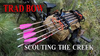 Big Deer, Scouting a new area , Trad Bow, Hoyt Recurve
