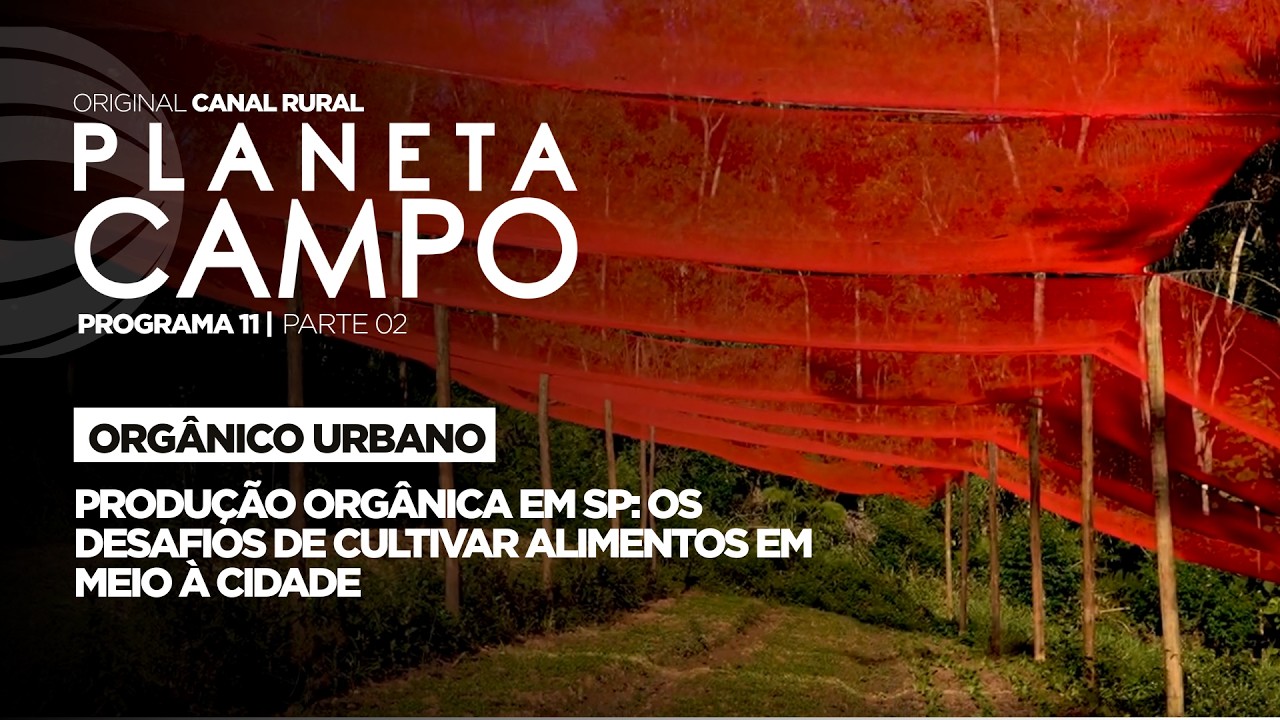 Desafios de cultivar alimentos orgânicos em meio à São Paulo | Planeta Campo - ep.11 parte 2