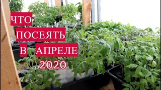 Благоприятные дни для ловли рыбы в апреле 2020
