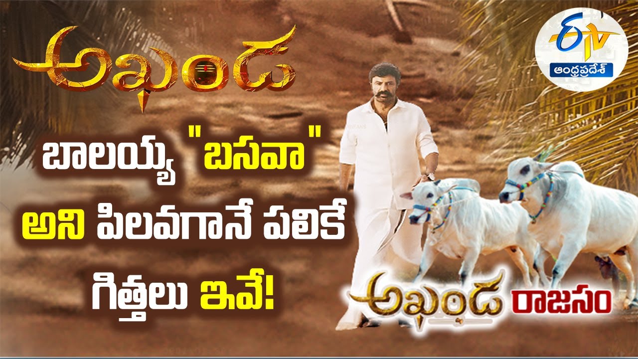 అఖండ చిత్రంలో కనిపించిన ఒంగోలు గిత్తలివే | These Ongole Bulls Seen at Balakrishna Akhanda Movie