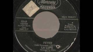 Fever Music Video