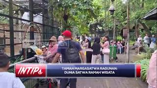 Taman Margasatwa Ragunan: Dunia Satwa Ramah Wisata - INTIPS