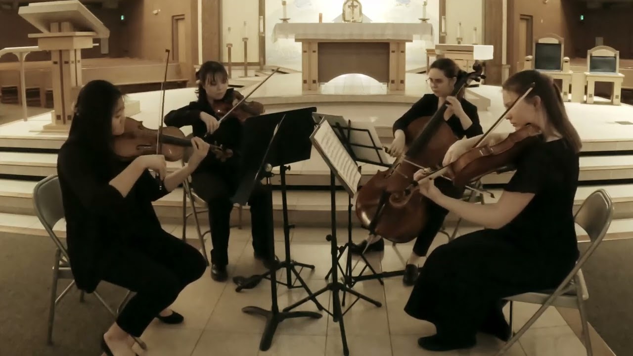 Promotional video thumbnail 1 for The Quartet Perchance