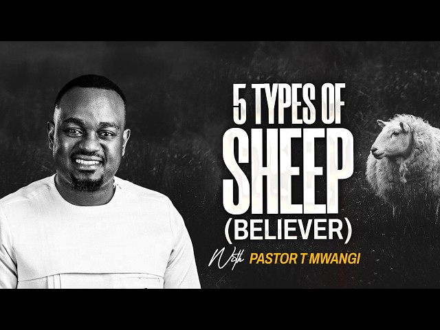 5 TYPES OF SHEEP || With Pastor T Mwangi