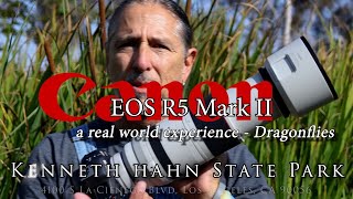 Canon R5 Mark II and RF 100-500mm f/4.5-7.1 L IS USM Lens - a real world dragonfly experience