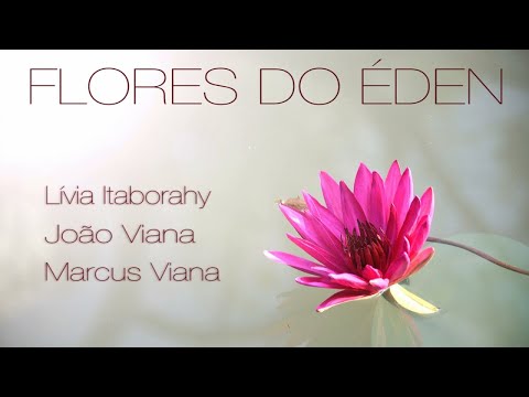Marcus Viana, Livia Itaborahy, Joao Viana - Flores do Éden