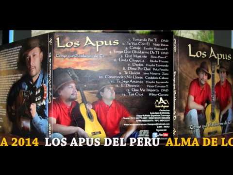 El Divorcio - Los Apus