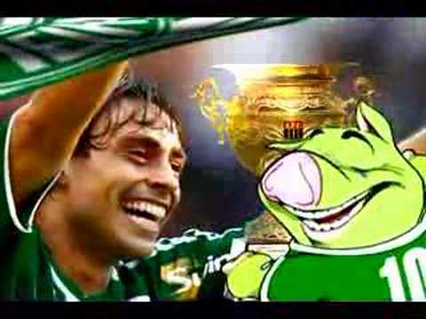 Palmeiras Campeão paulista 2008 - (45 gols do verdão)