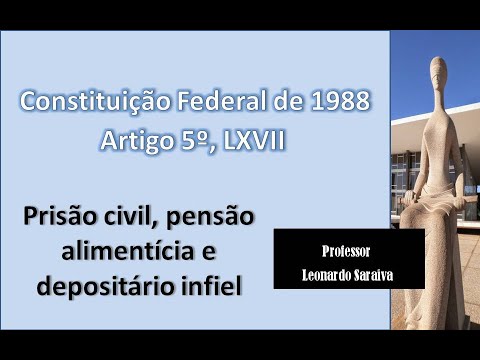 CF/88 - Artigo 5.º, Inciso LXVII - Prisão civil, pensão alimentícia e depositário infiel