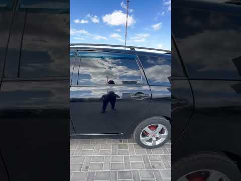 фото mitsubishi grandis grandis 0