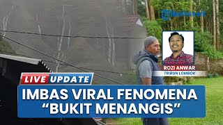 Dampak Fenomena 'Bukit Menangis', Wisata Sembalun di Lombok Turun Pengunjung di Awal Tahun 2026