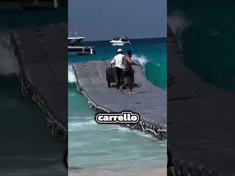 Credeva di essere in un film d’azione😳