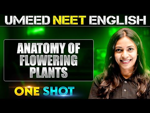 ANATOMY OF FLOWERING PLANTS in 1 Shot | All concepts Covered | UMEED NEET in Pure English