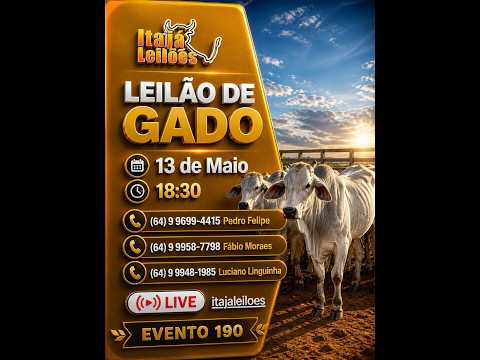 LEILAO DE GADO DA ITAJÁ LEILÔES