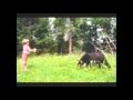 I met a bear by Twin Sisters mp3 