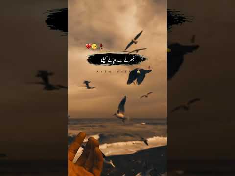 Whatsapp sad status 🥀 Urdu poetry ✨ broken heart poetry 💔 