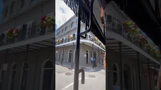 Explore New Orleans In A Horse & Carriage. 🐎 #neworleans #nola #horseandcarriage #louisiana #travel