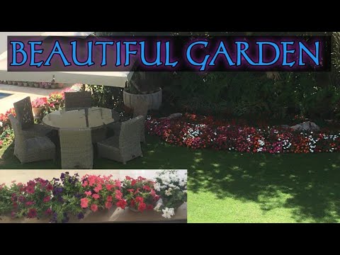 Ang Ganda Nang Garden Subrang Lines Tingan With Nice Flowers 💐