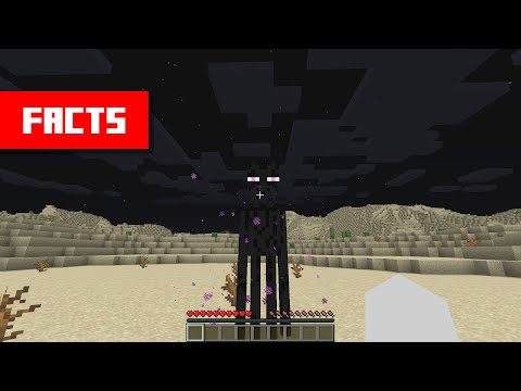 You can STARE at Endermen safely