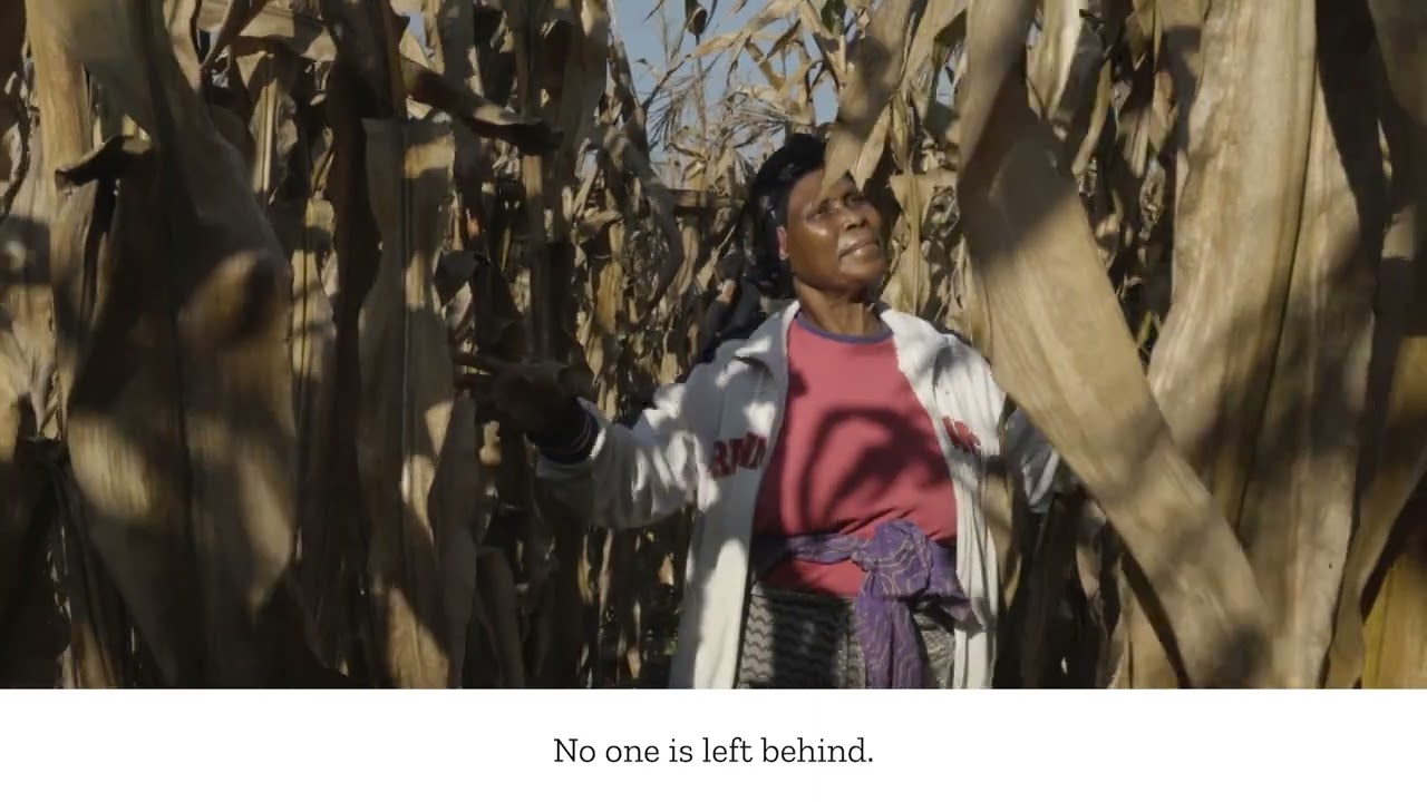 How Collaboration Within Farming Families Improves Productivity and Well-Being