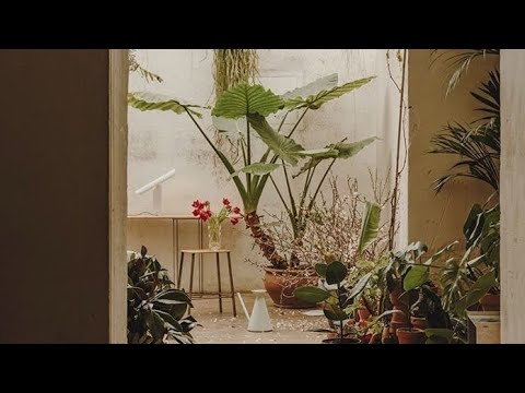 Vol.1 'Robiąc cokolwiek słuchamy. Wsłuchujemy się. W słońce. Gwiazdy. Wiatr'