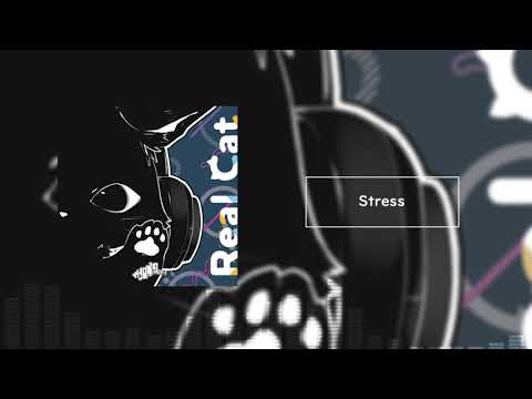 Video thumbnail for Stress