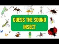 Can You Guess the Insect Sound? | Bug Sounds | Test Your Nature IQ!