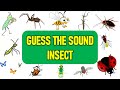 Can You Guess The Insect Sound Bug Sounds Test Your Nature IQ