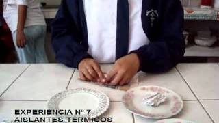 experiencia nº7