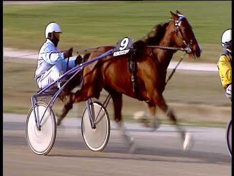 Trotto 20/02/2019 - 2ª corsa