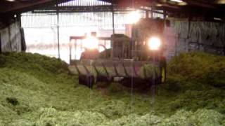 Squashing grass at Shaw Farm in the Peak District, UK