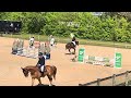 Hongre de 5 ans - mental & puissance
