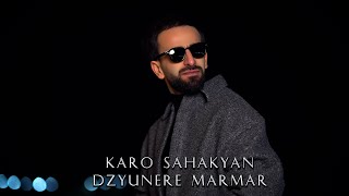 Karo Sahakyan - Dzyunere Marmar (2025)