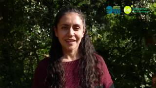 Manifest #ClamPelMedi5J