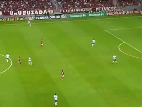 Flamengo 1 x 1 Portuguesa de Desportos | Brasileiro 07/08/2013 | Melhores momentos