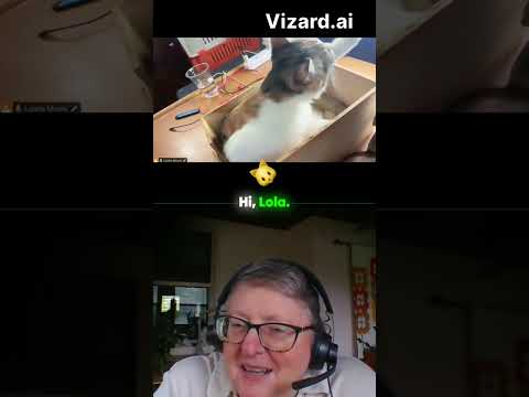 Leisha and Miss B: Leisha's Workspace (And Cat)