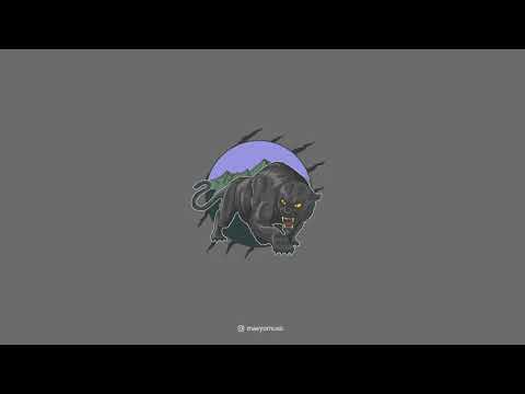 Lil Baby x Lil Durk Type Beat 2021 "Panther"