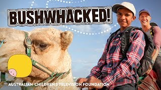 Trailer Preview Image