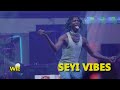 Seyi Vibes Performs 