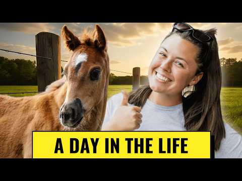 My Horses Really Live Like This?