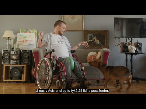 Náhled pro video reference