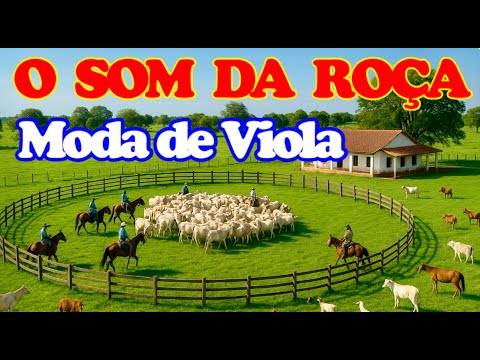 🪗 O Som da Roça em MODÃO DE VIOLA CAIPIRA Natureza e Coisas da Roça