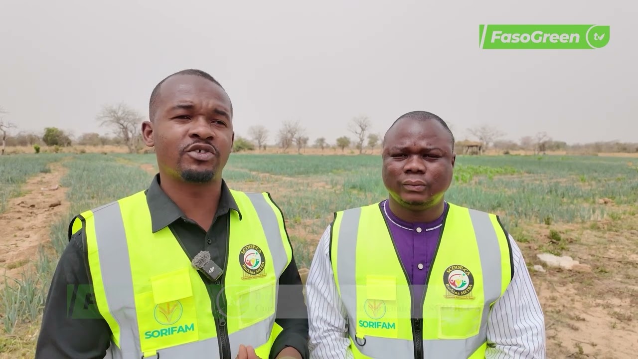 Coopérative Burkina Meetba : Immersion au cœur d’un modèle agropastoral ambitieux