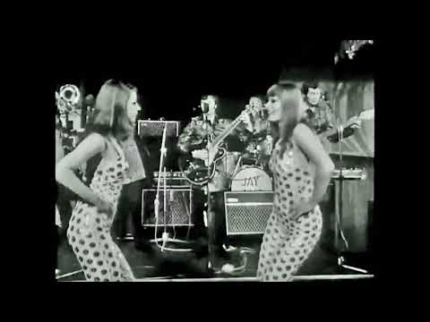 download lagu mp3 mp4 Shimmy Shimmy Shake Song, download lagu Shimmy Shimmy Shake Song gratis, unduh video klip Shimmy Shimmy Shake Song