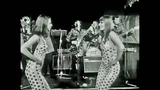 Shimmy Shimmy Shake-Talbot Pearson