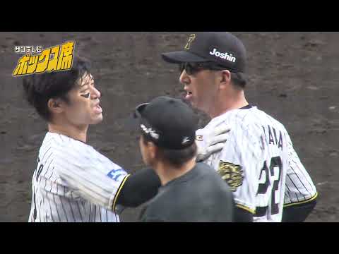 【エキサイト】藤川監督激怒!坂本誠志郎選手への頭部死球で両軍ベンチから監督選手が飛び出す事態に(2025年4月20日 阪神ー広島) #サンテレビボックス席