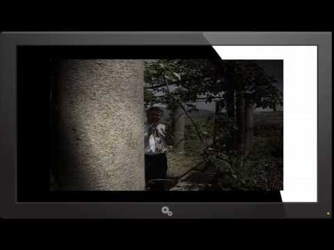 Hermans Historia 1992 Heliga Birgitta