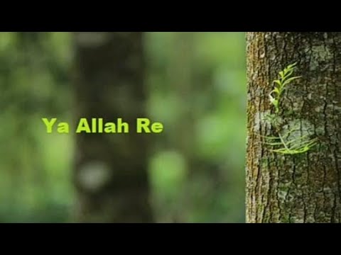 Ya Allah Re | Pir Sadardin