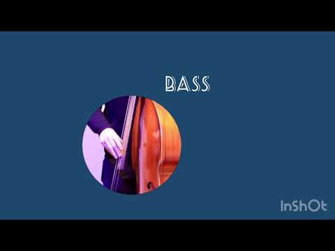 【2021部活・サークル紹介】Fore-Bridge Orchestra（FBO）